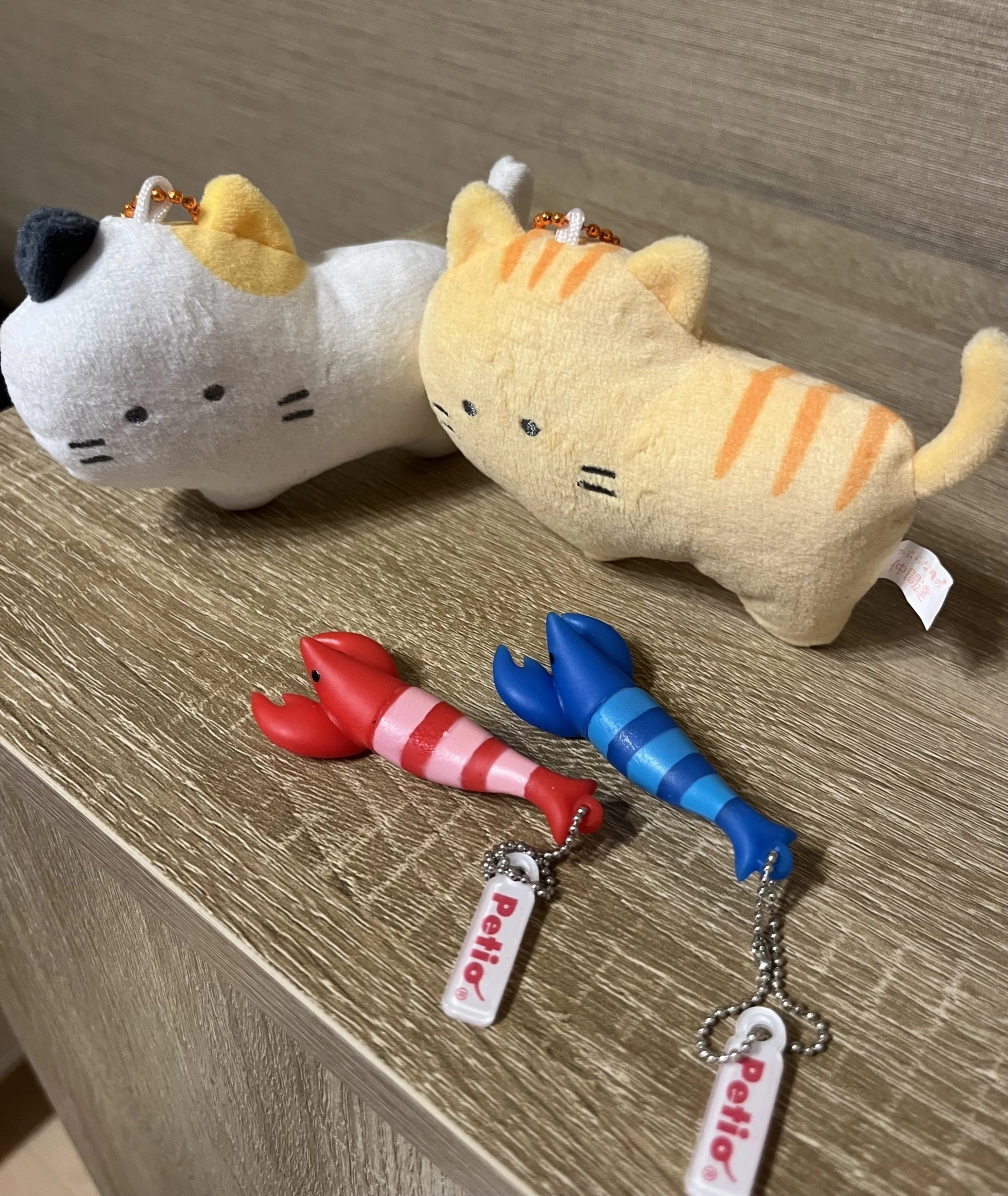 *˚𝕐˚*さんの投稿画像