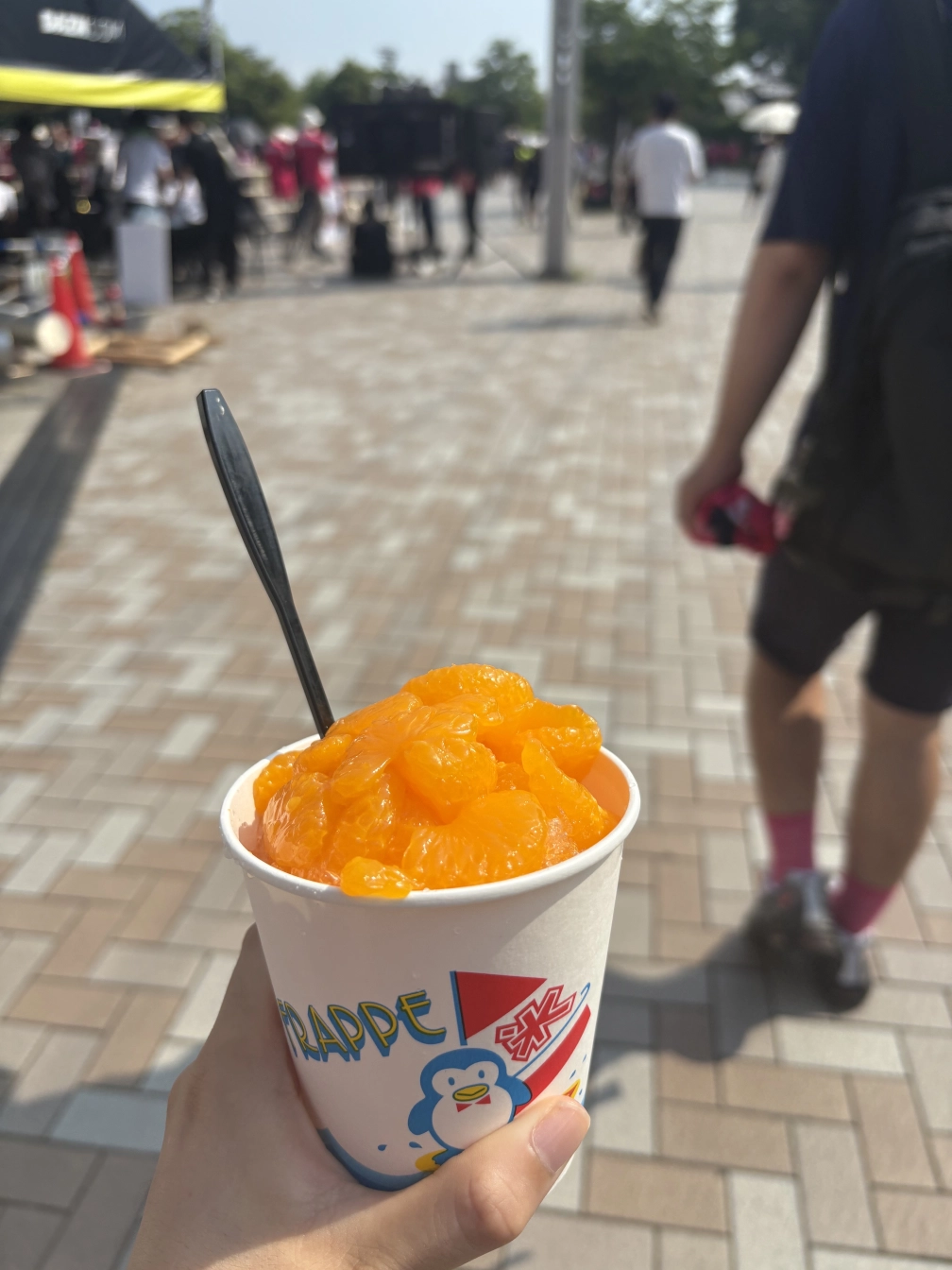 らんさんの投稿画像