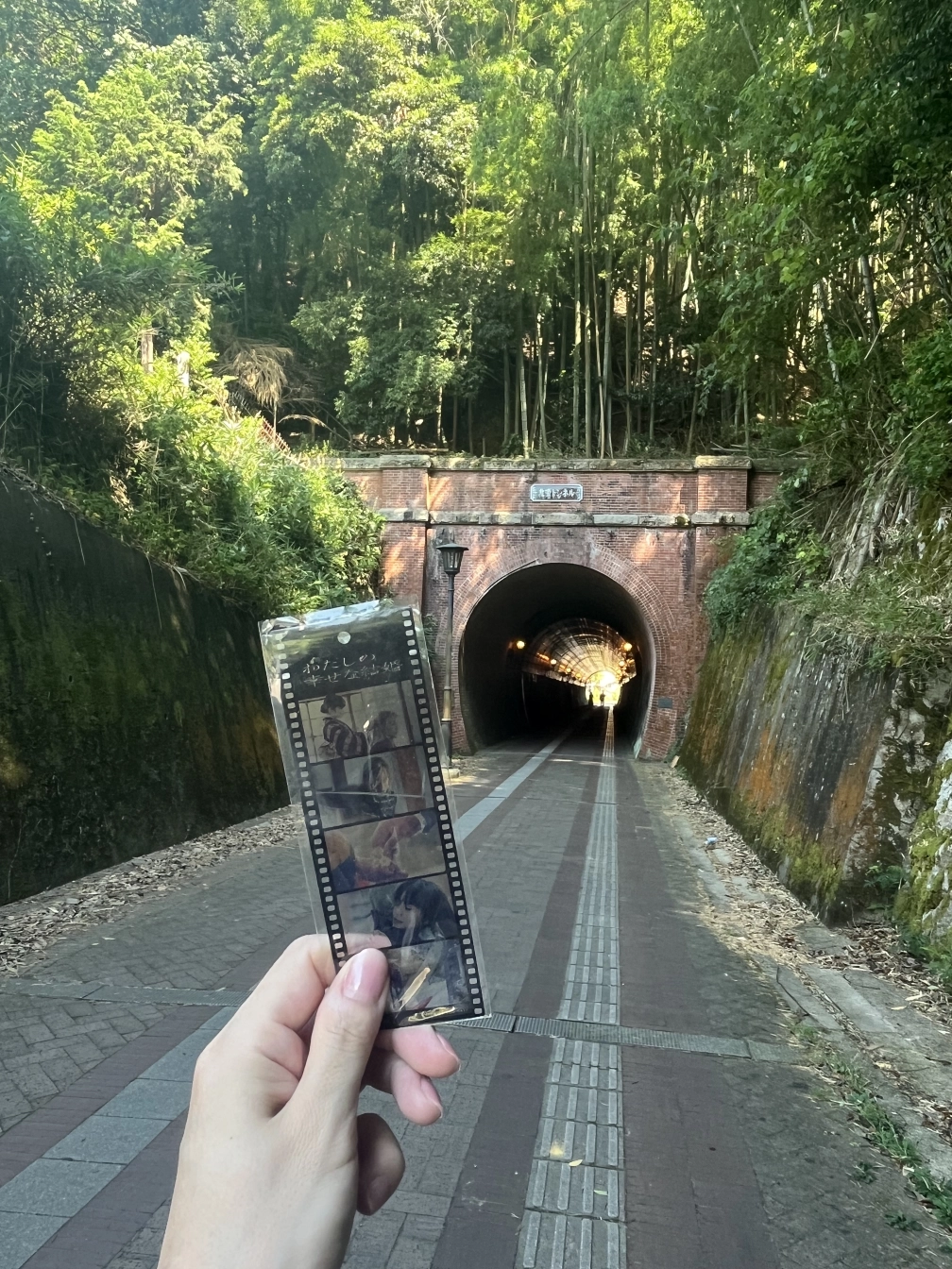 *˚𝕐˚*さんの投稿画像