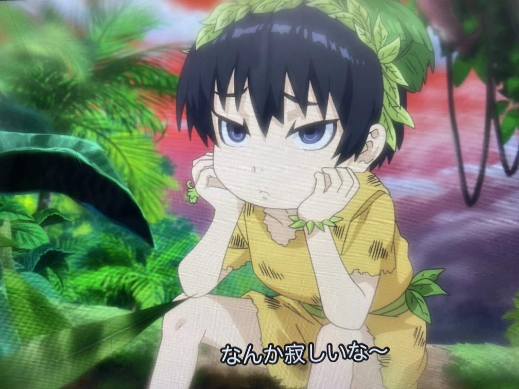 ヤーハンさんの投稿画像