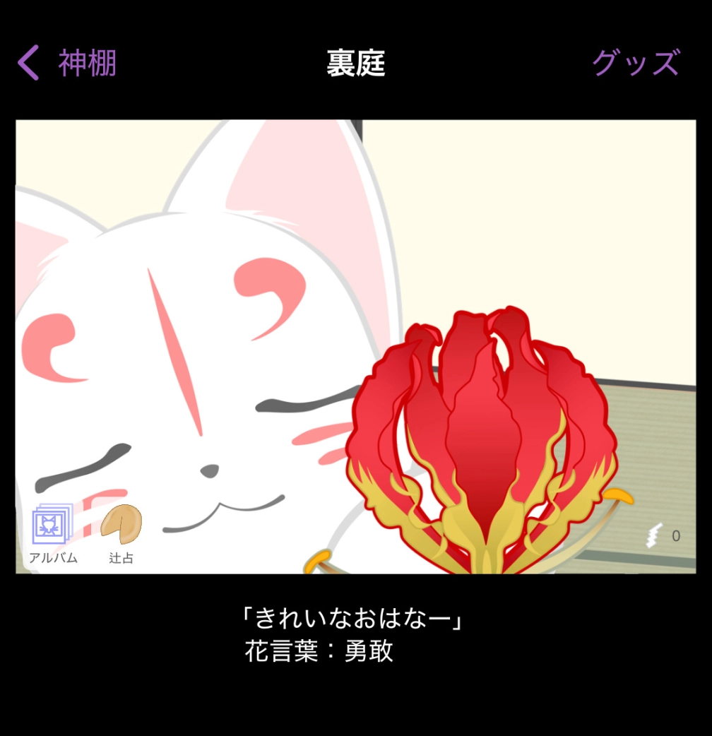 魛。さんの投稿画像