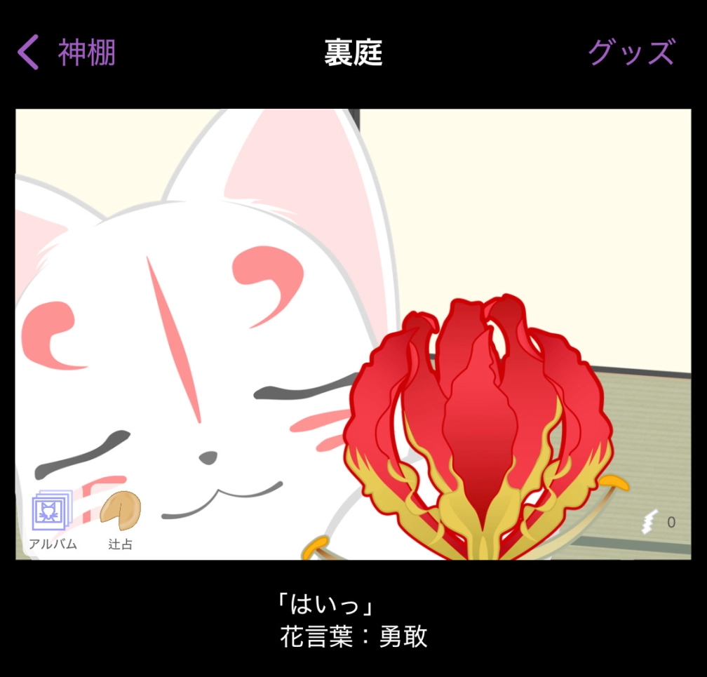 魛。さんの投稿画像