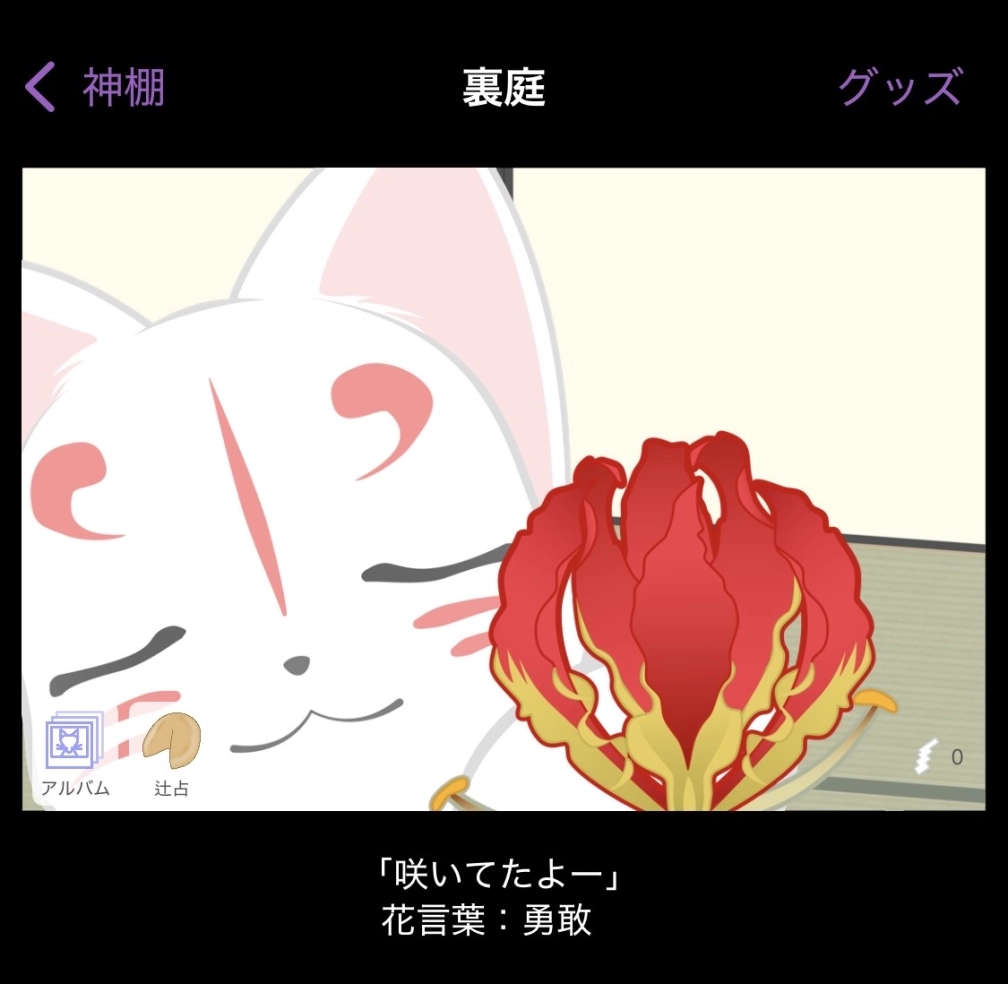 魛。さんの投稿画像