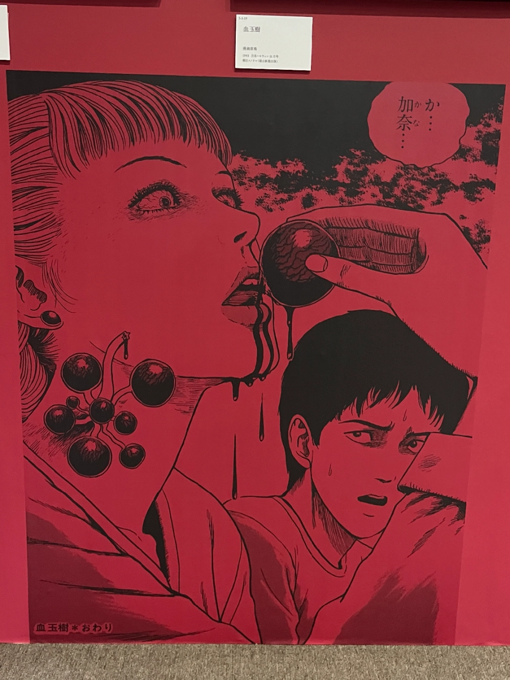 tamagoさんの投稿画像