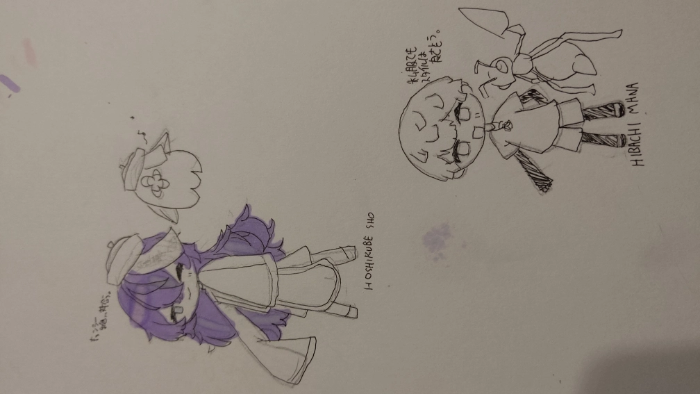 なまこさんの投稿画像