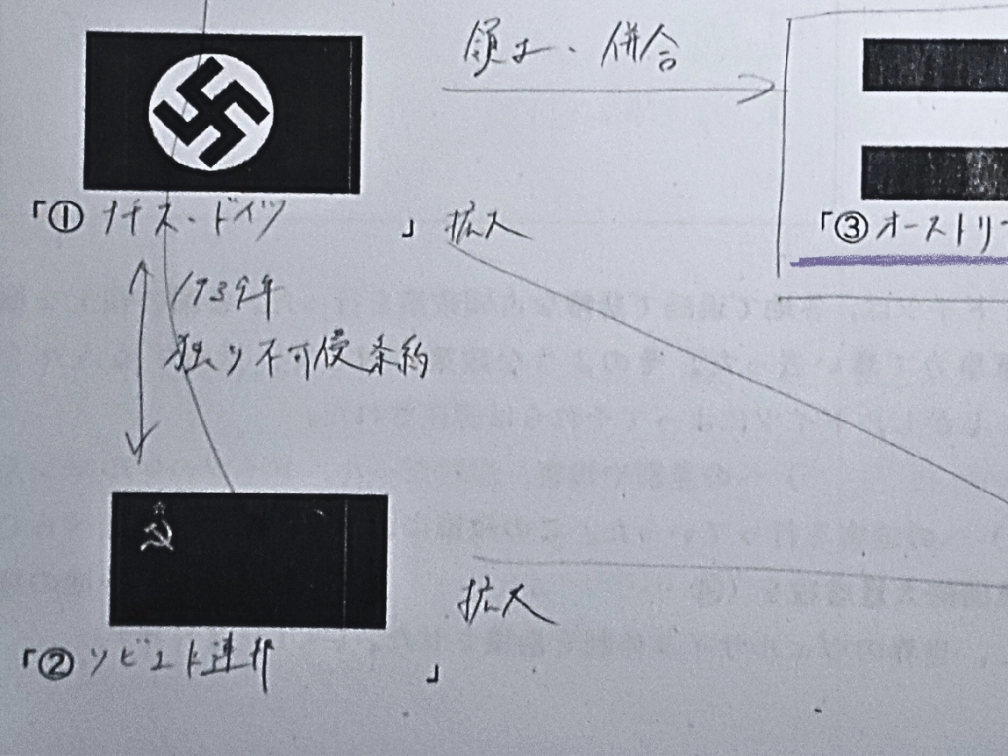 四足歩行の未確認生命体さんの投稿画像