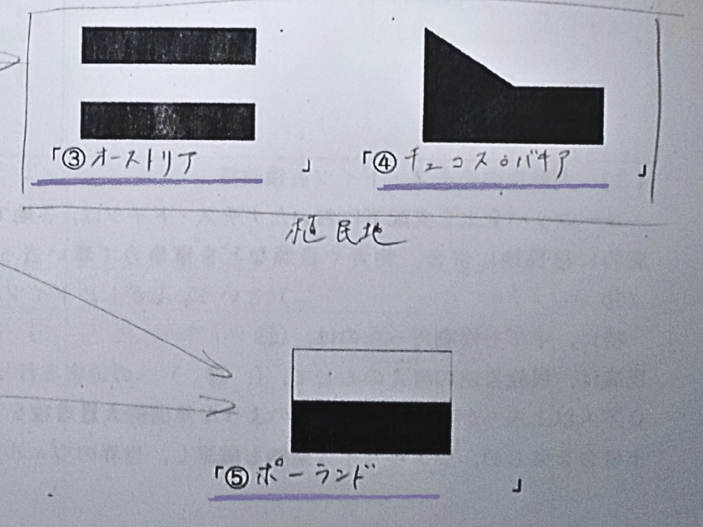 四足歩行の未確認生命体さんの投稿画像
