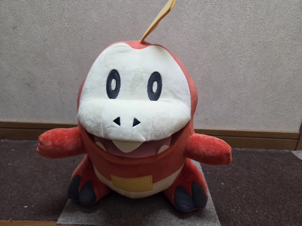 ワカコさんの投稿画像