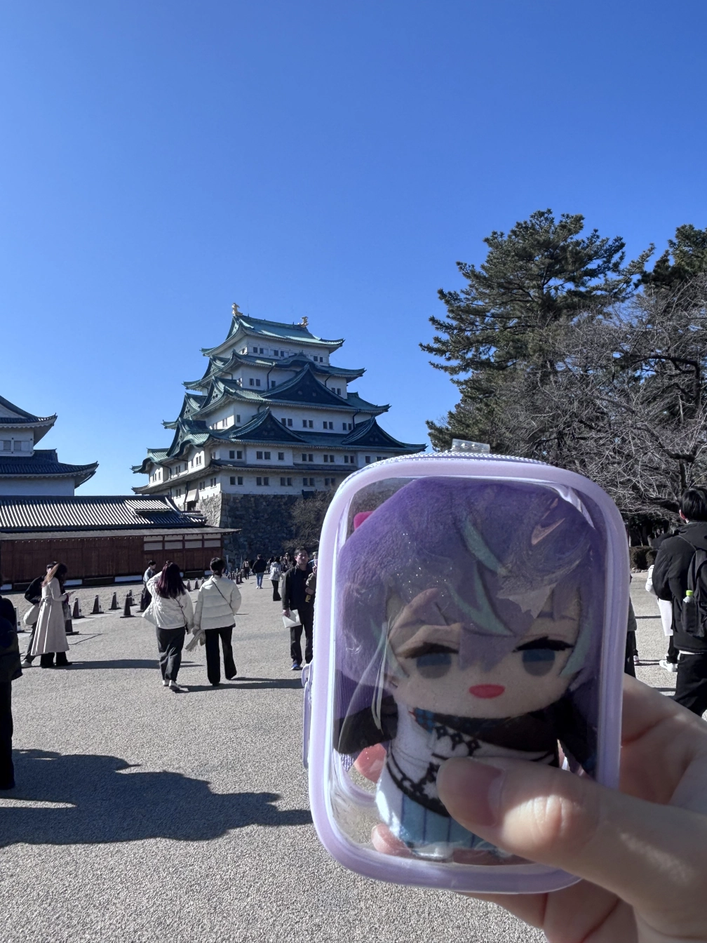 せろりさんの投稿画像