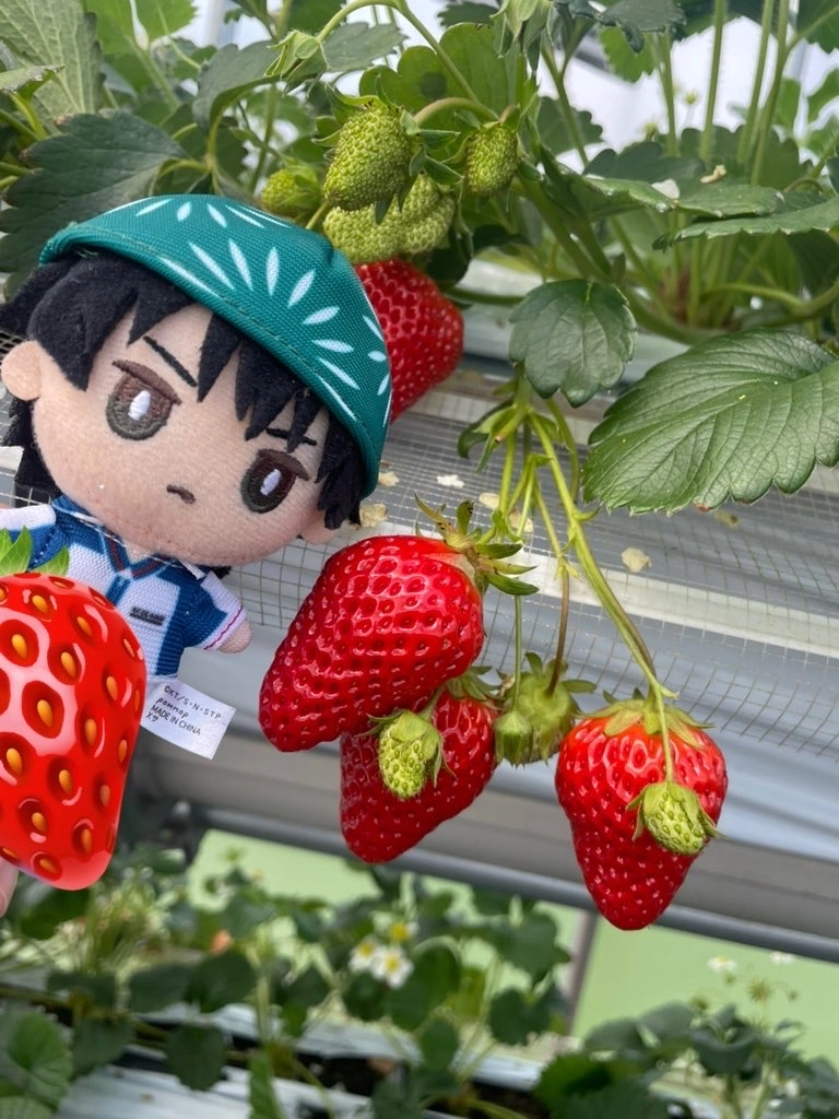 なるさんの投稿画像