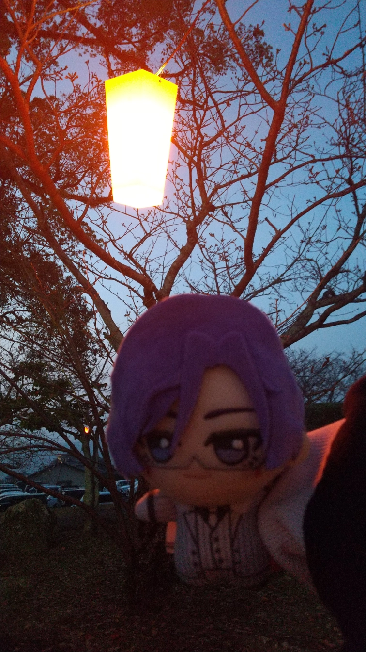 りおてゃさんの投稿画像