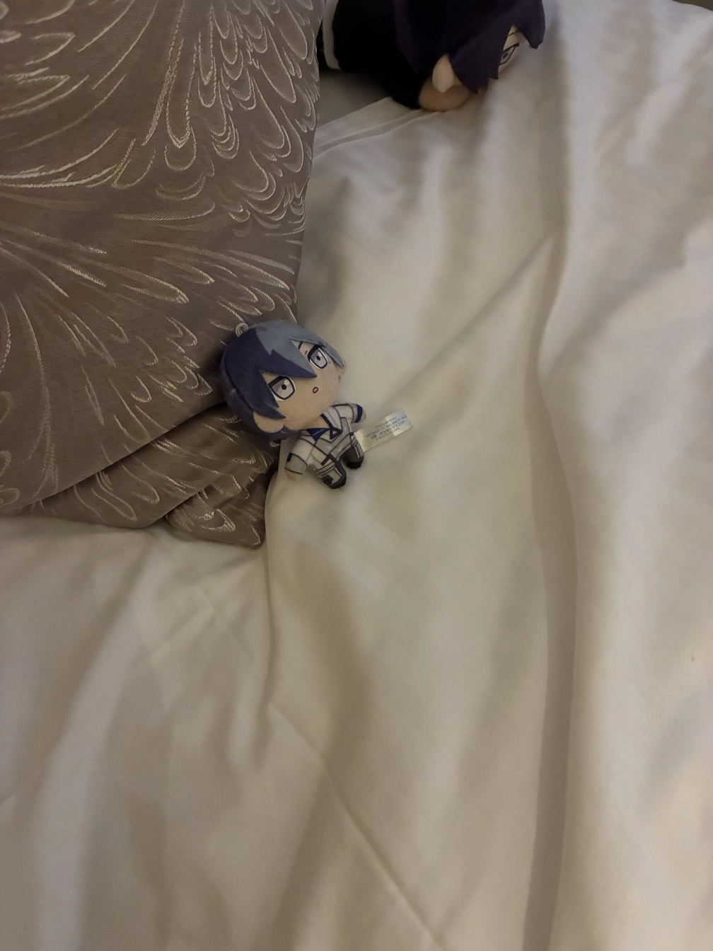 ふぃあさんの投稿画像