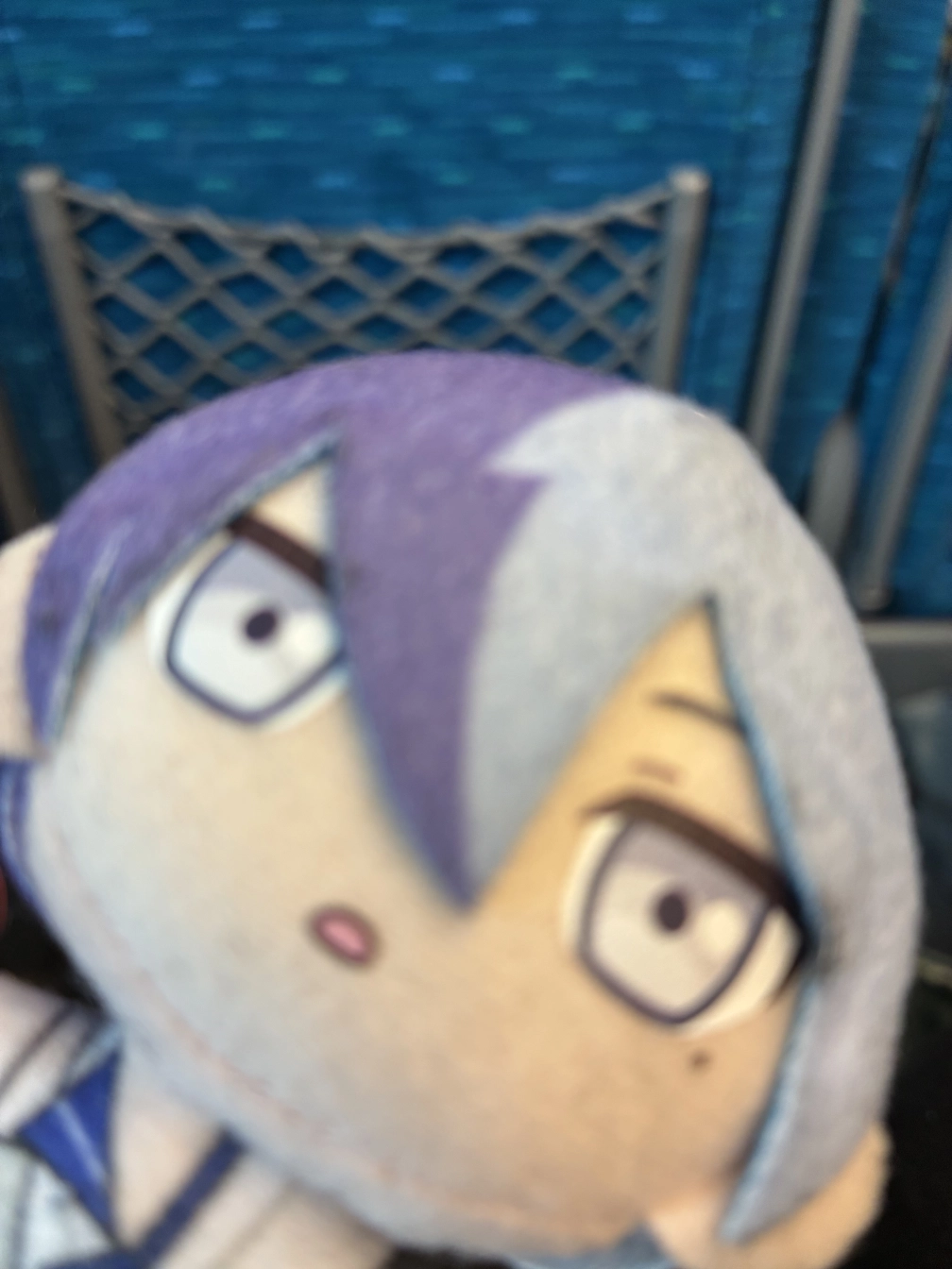 ふぃあさんの投稿画像