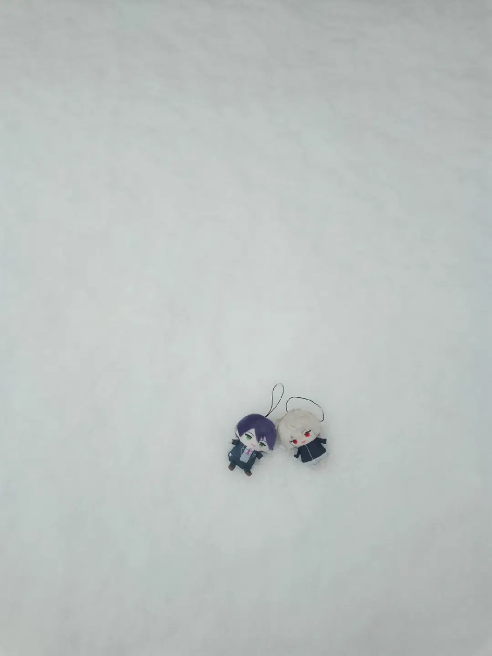 あいさんの投稿画像