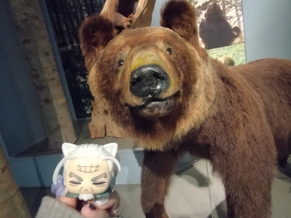 もゆくさんの投稿画像