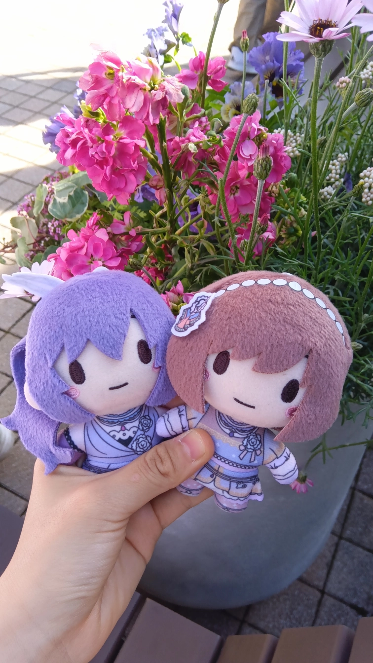 ゆきんこさんの投稿画像