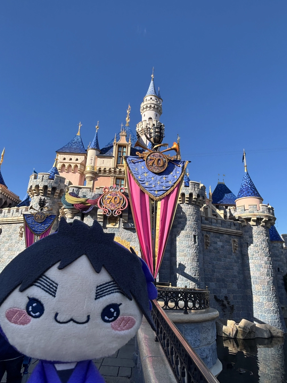 めんまさんの投稿画像