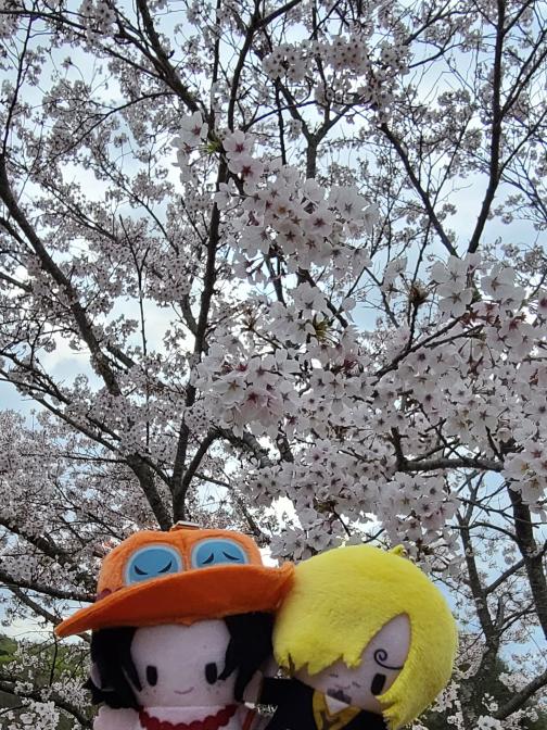 なつきさんの投稿画像