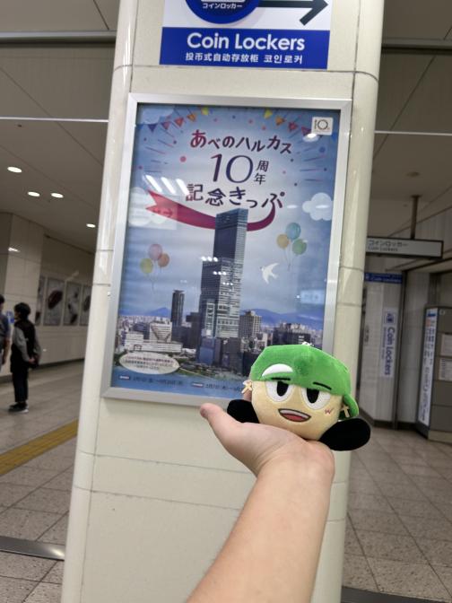 もんちさんの投稿画像