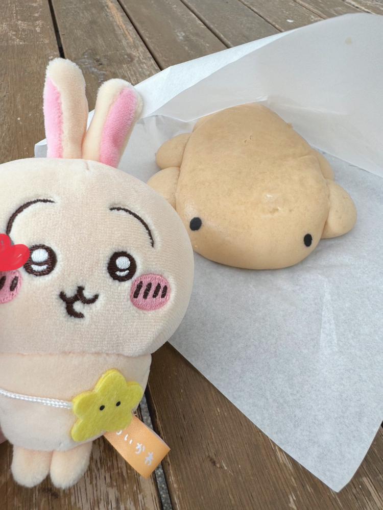 ウワワさんの投稿画像