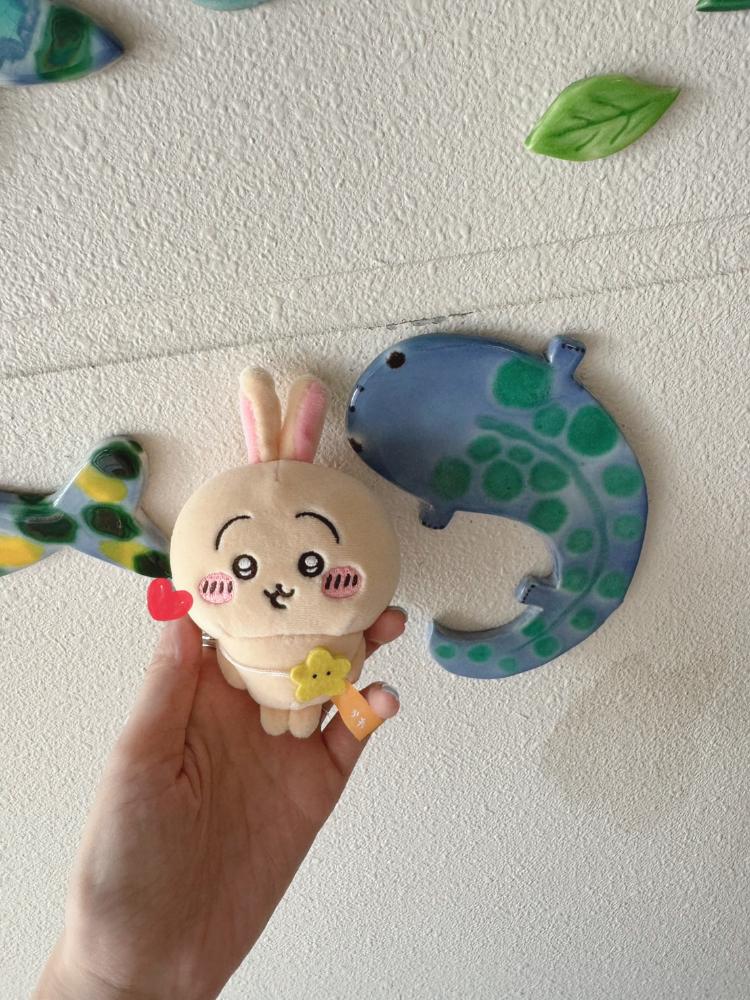 ウワワさんの投稿画像