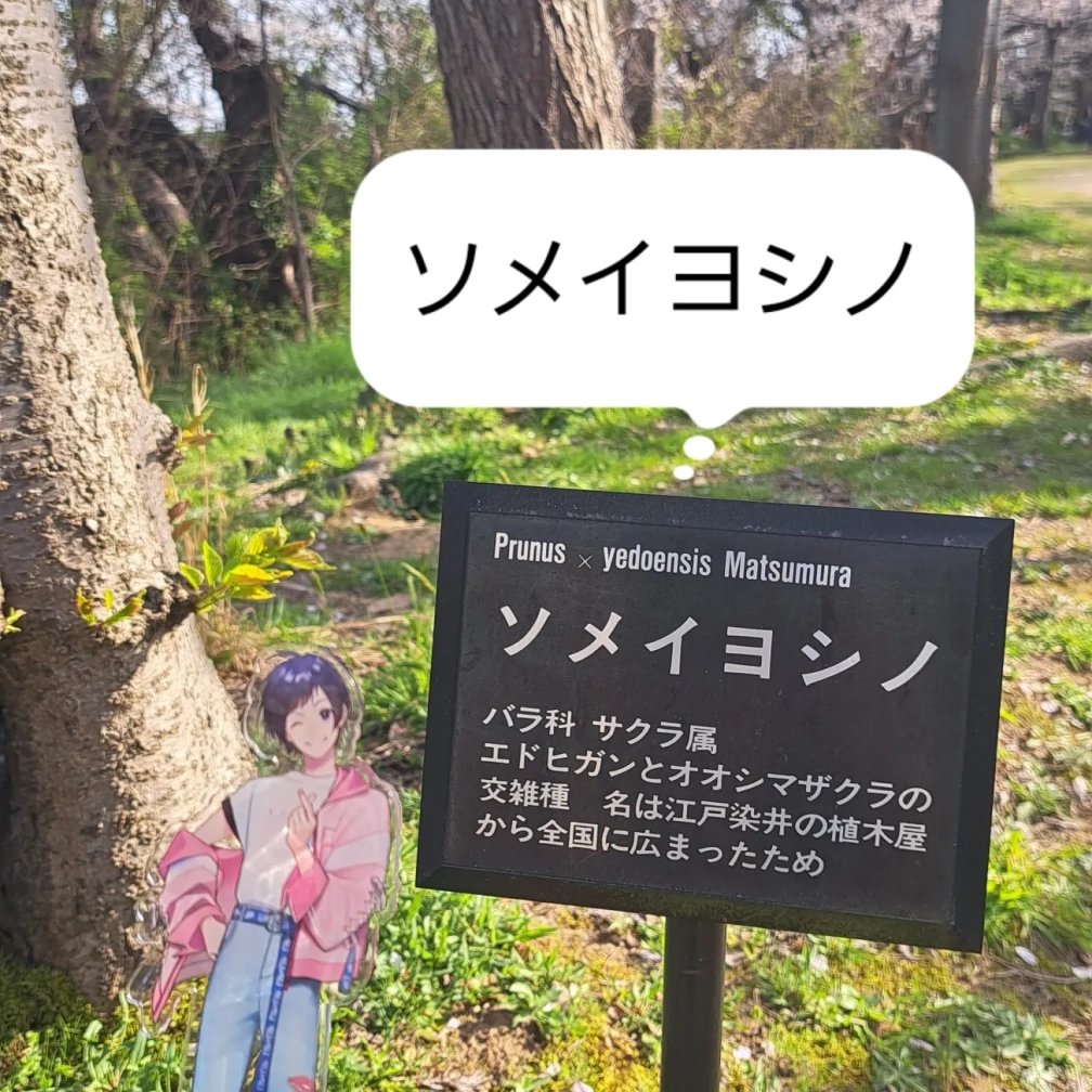 🐰さんの投稿画像