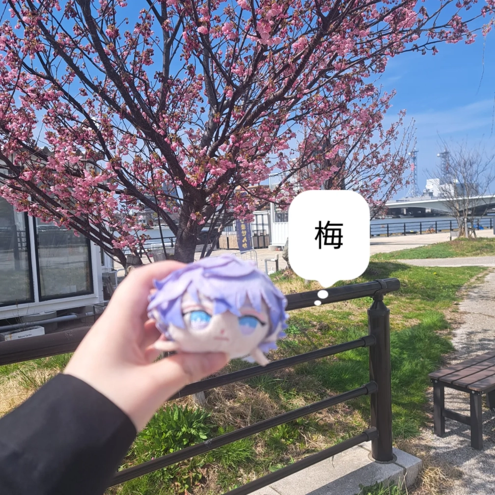 🐰さんの投稿画像