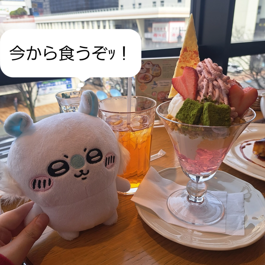 🐰さんの投稿画像