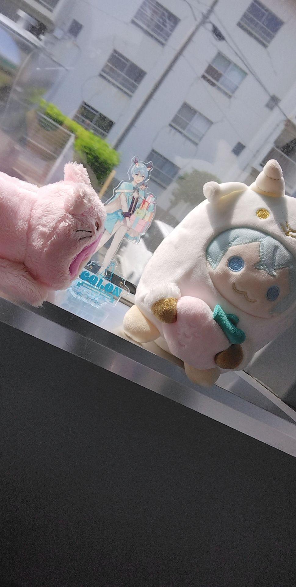 まよさんの投稿画像
