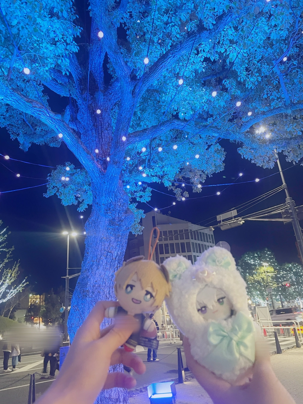 のぎつねさんの投稿画像