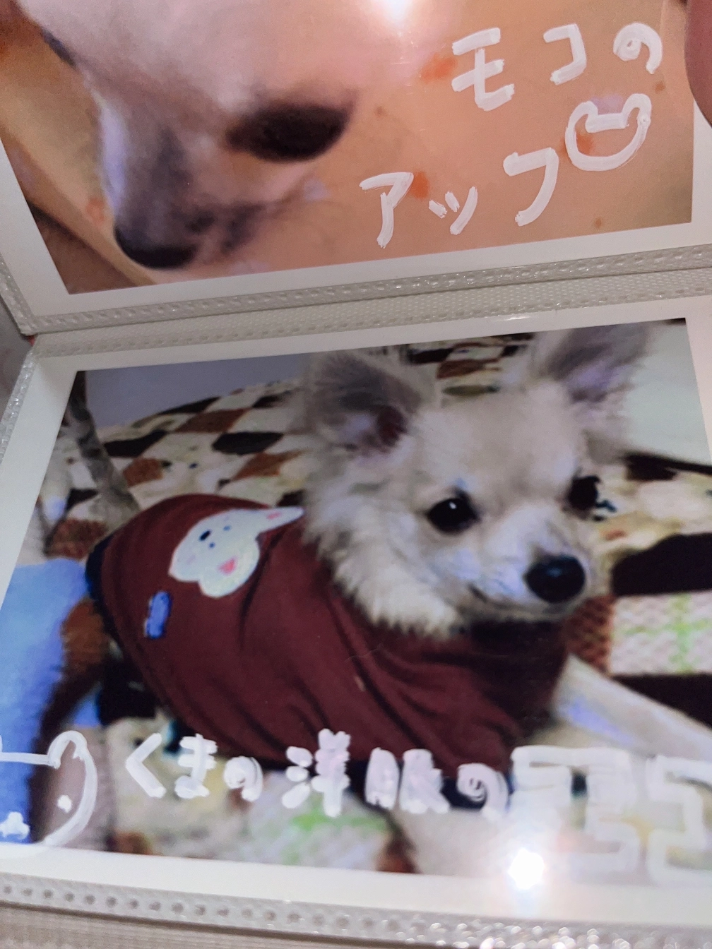 めろ  推し🖤さんの投稿画像