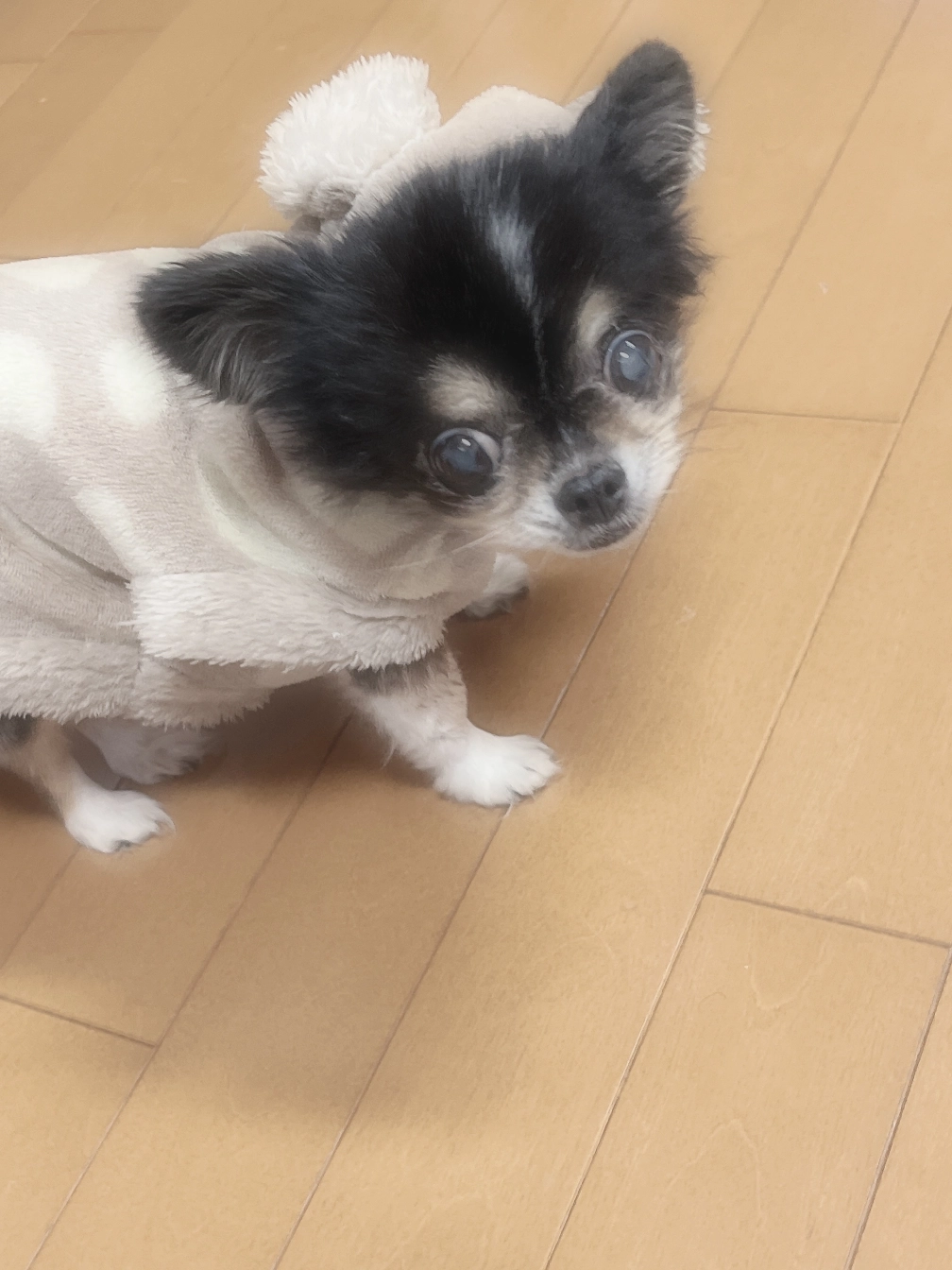 めろ  推し🖤さんの投稿画像