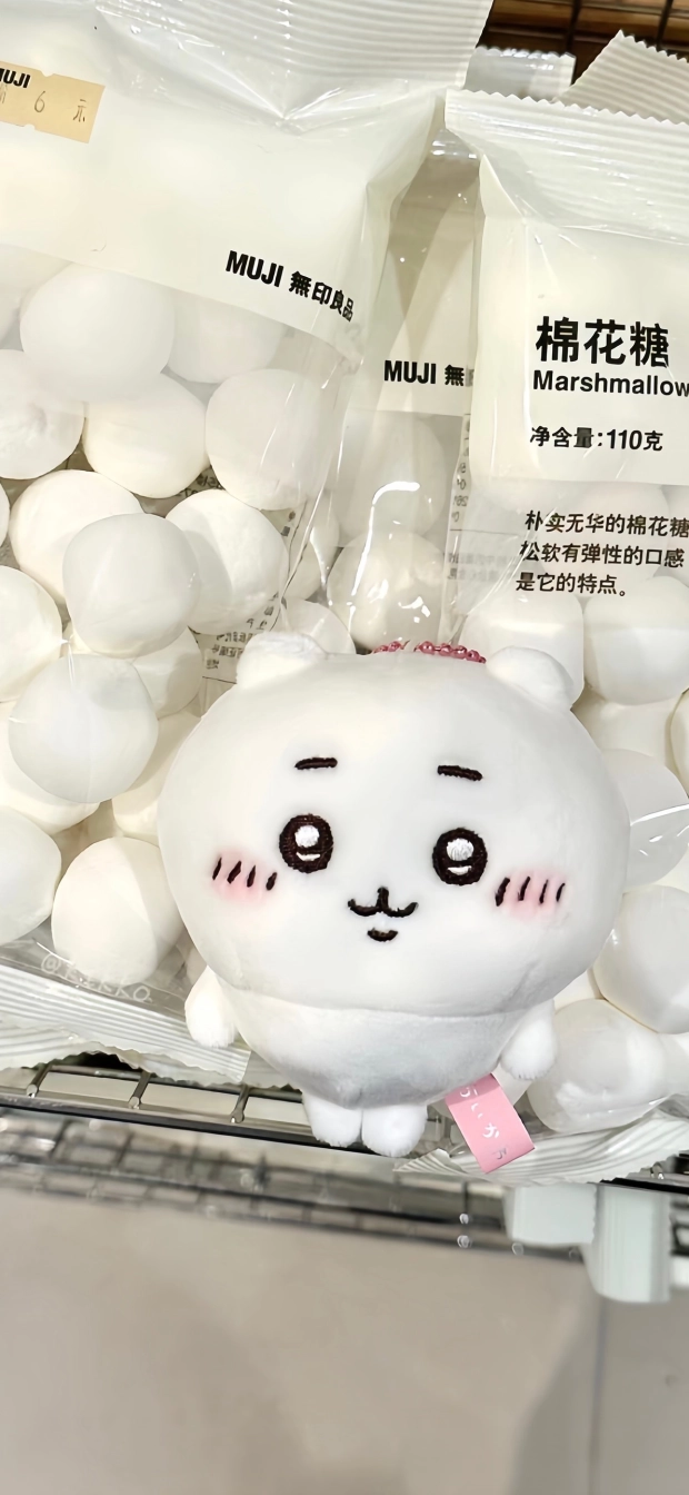 momoさんの投稿画像
