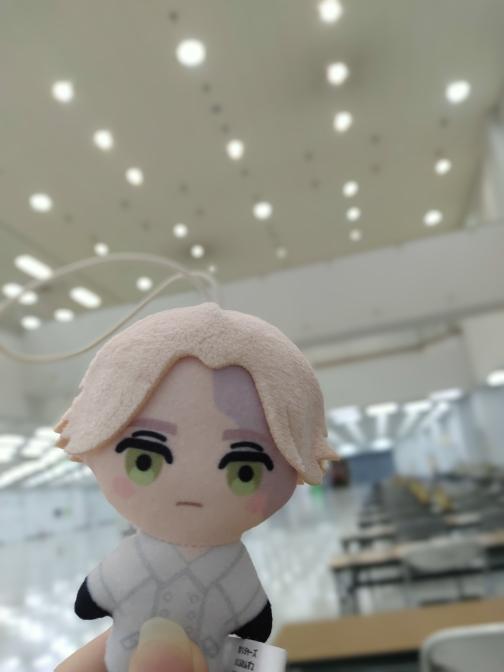 ふりかけちゃさんの投稿画像