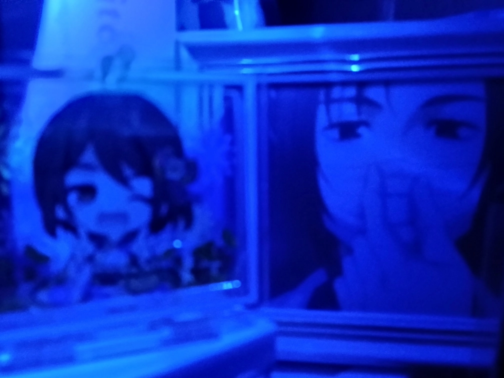 ﾙﾅさんの投稿画像