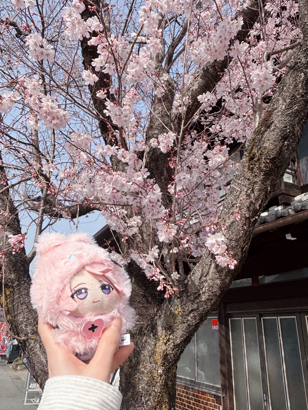 ℐ𝓀𝓊𝓉ℴさんの投稿画像
