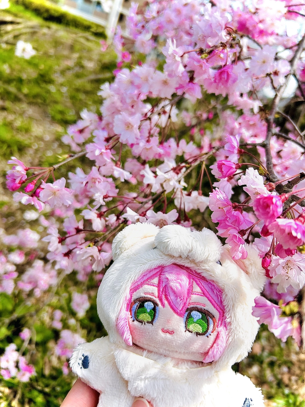 くぐう✩.*˚さんの投稿画像
