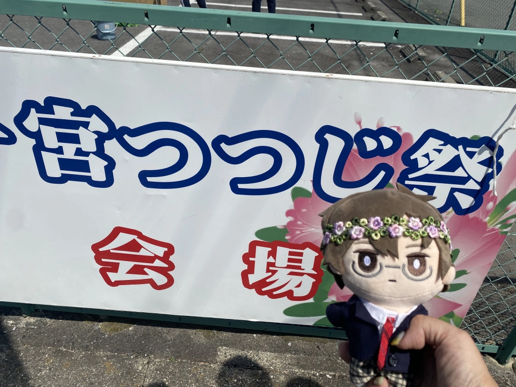 紫穂さんの投稿画像