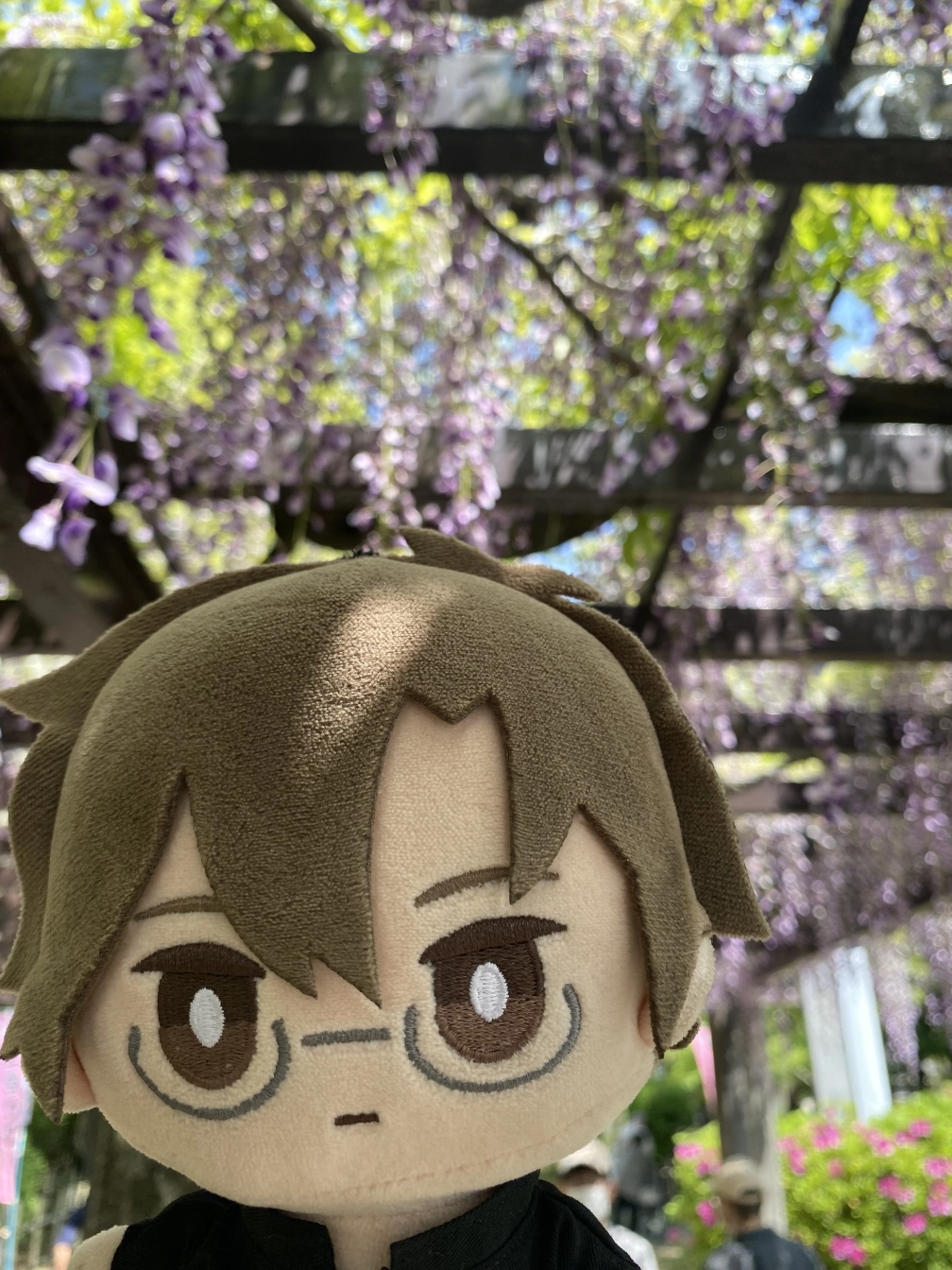 紫穂さんの投稿画像