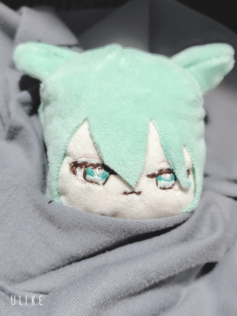 はねつきりのさんの投稿画像