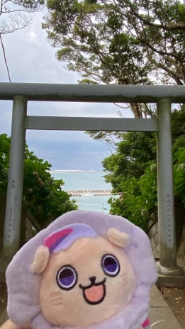まるさんの投稿画像