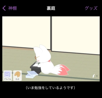魛。さんの投稿画像