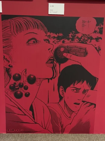 tamagoさんの投稿画像