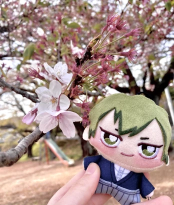 らしゅくさんの投稿画像