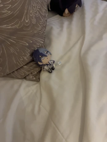 ふぃあさんの投稿画像