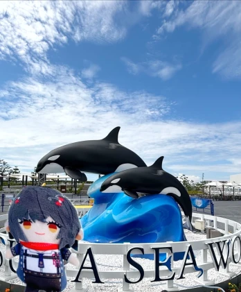 めんまさんの投稿画像