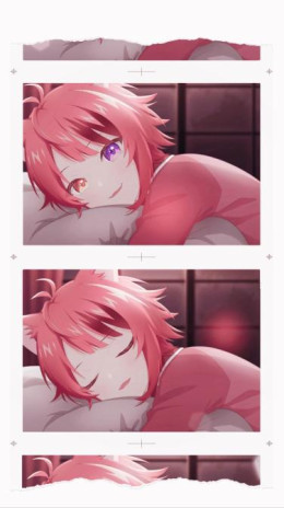♡もあわんちゅちゅ❕🐾♡ྀིさんの投稿画像