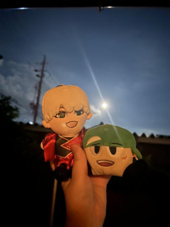 もんちさんの投稿画像