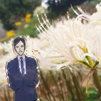 てまさんの投稿画像