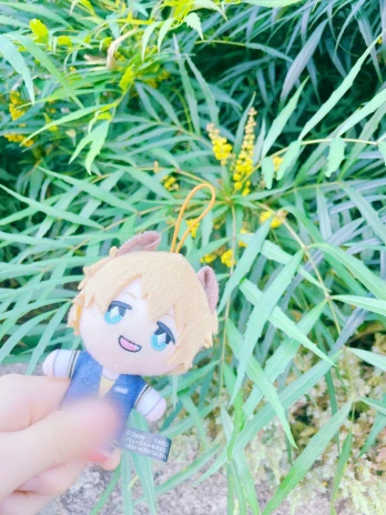 のぎつねさんの投稿画像